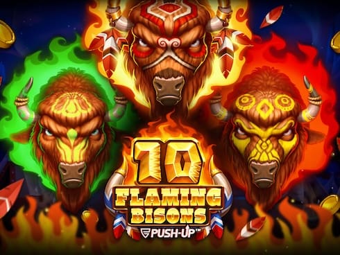 10 Flaming Bisons screenshot